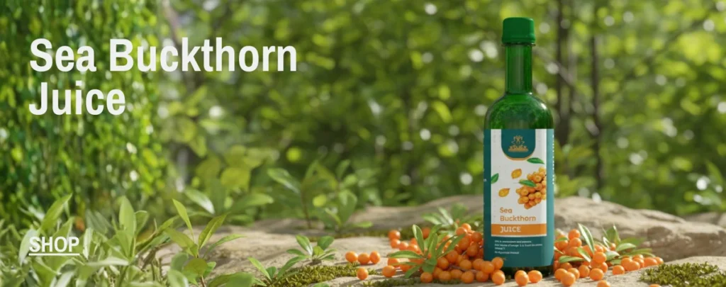Sea Buckthorn
